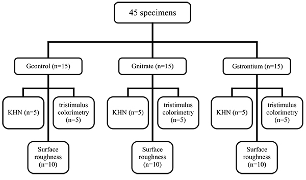 Effect of 10% Strontium Chloride and 5% Potassium Nitrate with Fluoride on Bleached Bovine Enamel