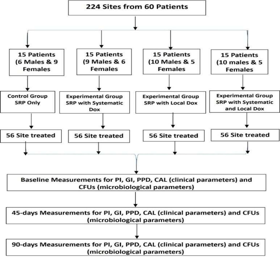 Clinical and Microbiological Effects of Systemic, Local, and Combined Application of Doxycycline in the Treatment of Periodontitis