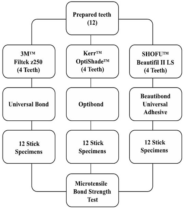Microtensile Bond Strength and Microhardness of Resin–dentin Bonds using Different Resin-based Composite Systems