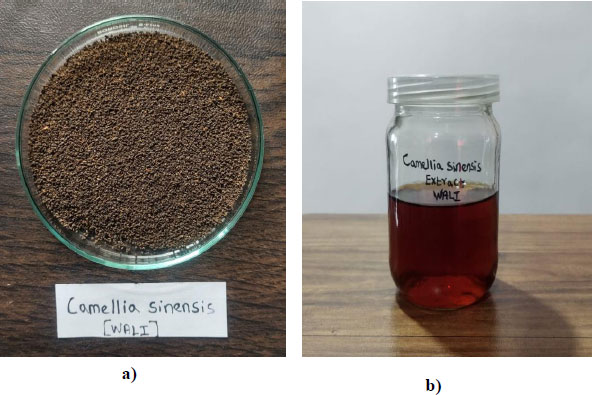 Antibacterial, Antibiofilm, Anti-adherence Activity, and Cytotoxicity Assay of Different Green Tea Extract Concentrations on Dental Pathogens: and study