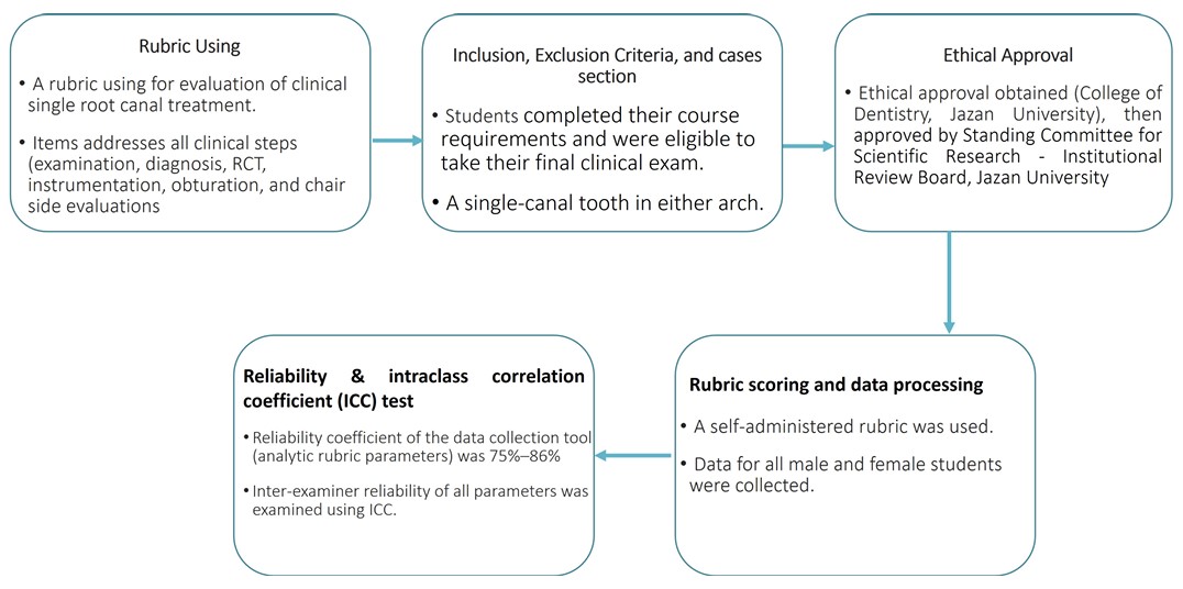 Evaluation and Gender Base Comparison of Single-Root Canal Treatment Performance by Clinical-Phase Dental Students Using an Analytic Rubric System