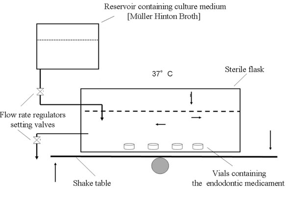 
                     Evaluation of  Adhesion on Various Endodontic Medicaments