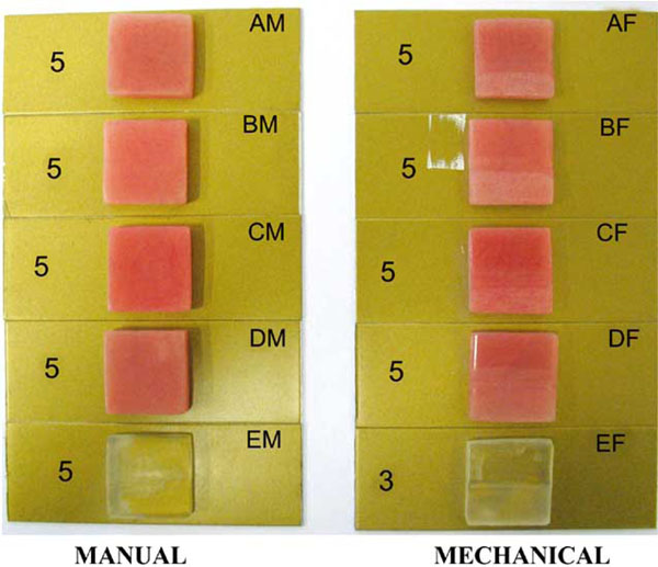 Analysis of the Performance of a Standardized Method for the Polishing of Methacrylic Resins