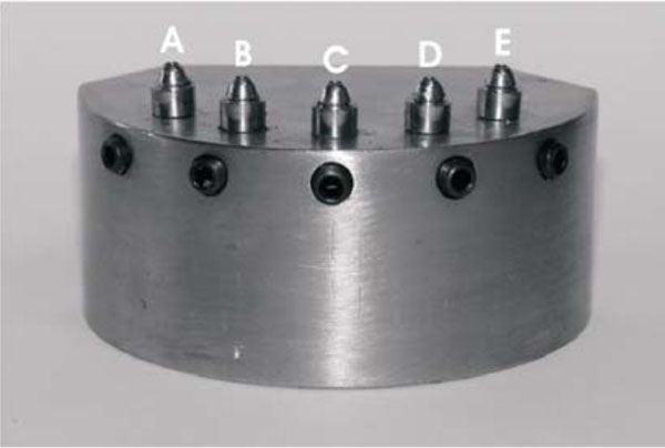 Influence of Prosthetic Screw Material on Joint Stability in Passive and Non-Passive Implant-Supported Dentures 