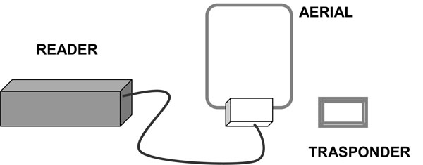Incorporation of Radio Frequency Identification Tag in Dentures to Facilitate Recognition and Forensic Human Identification