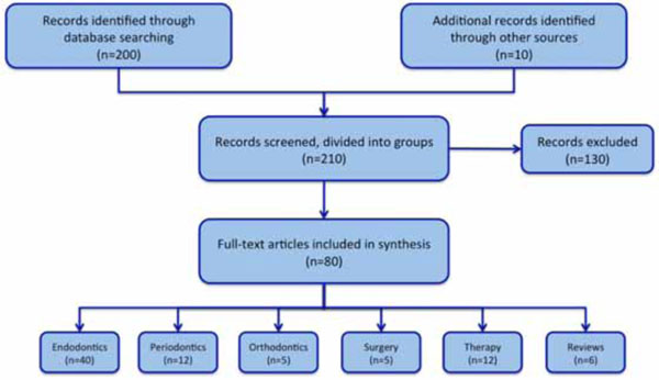  Multidisciplinary Treatment Options of Tooth Avulsion Considering Different Therapy Concepts
