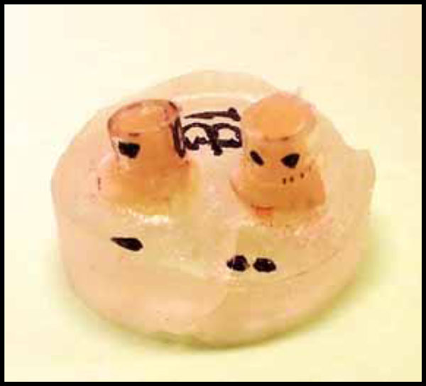 The Use of Glass-fibers Ribbon and Composite for Prosthetic Restoration of Missing Primary Teeth-Laboratory and Clinical Research