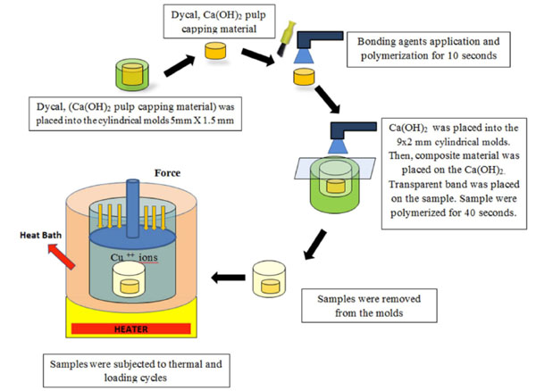 The Temperature Dependence of Micro-Leakage between Restorative and Pulp Capping Materials by Cu Diffusion