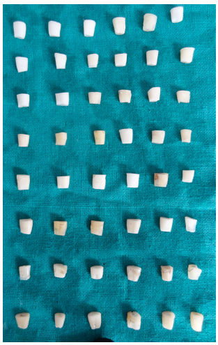 Dentinal Tubule Disinfection with Propolis & Two Extracts of  Against  Biofilm Formed on Tooth Substrate